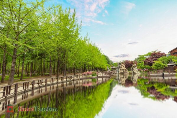 Tour Hàn Quốc Seoul Mùa Hè (06 ngày) - Khởi hành 12/06/2024 - từ Hải Phòng